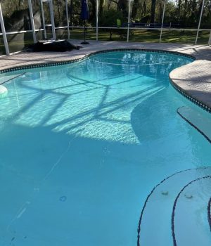 completed-florida-swimming-pool-sarasota